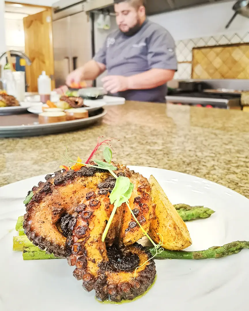 Octopus course