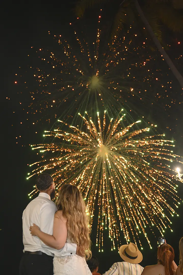 Fireworks over the bay