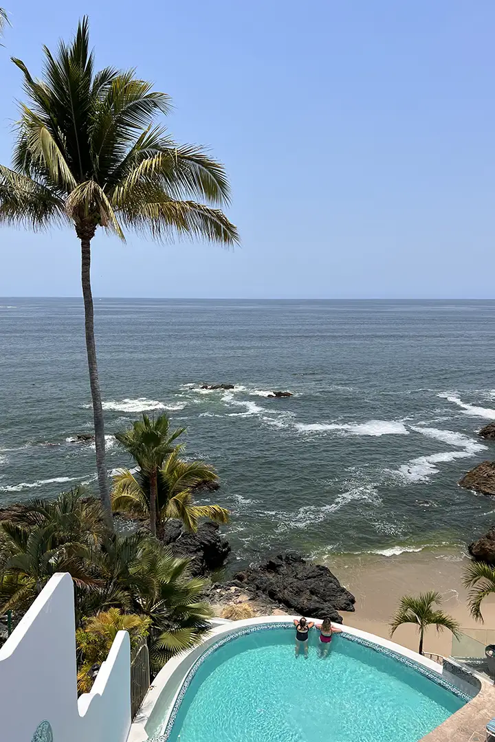 Palm over the pool and cove